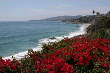 Gallery & Studio in Laguna Beach California